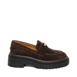 Steve Madden Pursuit Flat Shoe Brown Suede