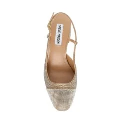 Steve Madden Zeina R Sandal Champagne -Steve Madden Shop SM11003127 04004 242 06