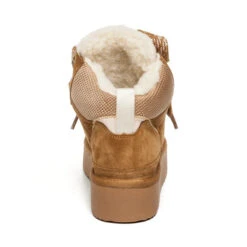 Steve Madden Paci Trainers Chestnut Suede -Steve Madden Shop SM11003464 03002 839 05 grande 289da9e1 3bf7 4450 9e37 6e9bddc7c18b