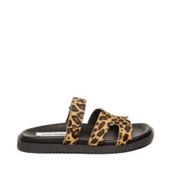 Steve Madden Missile L Slip On Leopard