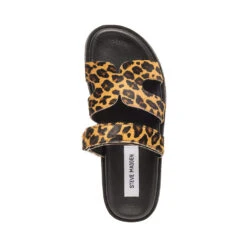 Steve Madden Missile L Slip On Leopard -Steve Madden Shop SM11003505 03001 969 06