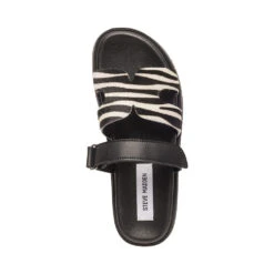 Steve Madden Missile L Slip On Zebra -Steve Madden Shop SM11003505 03001 999 05