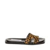 Steve Madden Sofia L Slide Leopard 2 Steve Madden Sofia L Slide Leopard -Steve Madden Shop SM11003524 03001 969 01