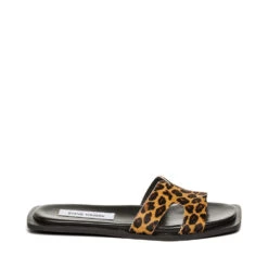 Steve Madden Sofia L Slide Leopard