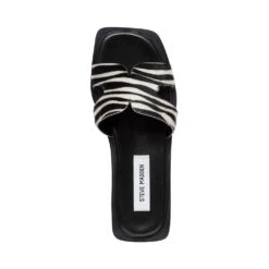 Steve Madden Sofia L Slide Zebra -Steve Madden Shop SM11003524 03001 999 06