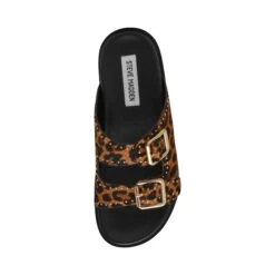 Steve Madden Freelance L Slides Leopard 11 Steve Madden Freelance L Slides Leopard -Steve Madden Shop SM11003597 03001 969 06