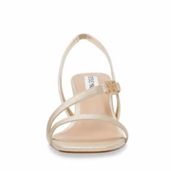 Steve Madden Infuzer Sandal Gold -Steve Madden Shop SM11003633 02002 045 04