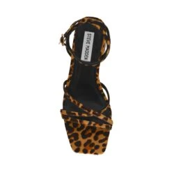 Steve Madden Gabby L Sandal Leopard -Steve Madden Shop SM11003659 03001 969 03