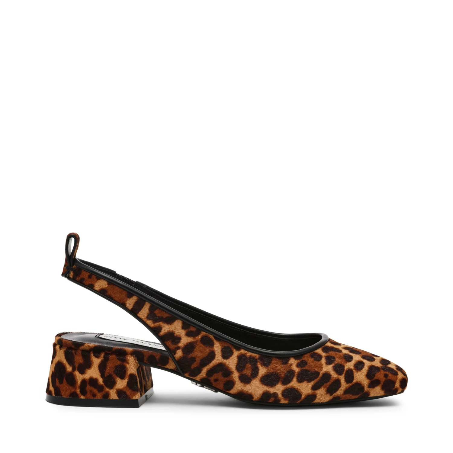 Steve Madden Smitten Lp Sandal Leopard 3 Steve Madden Smitten Lp Sandal Leopard