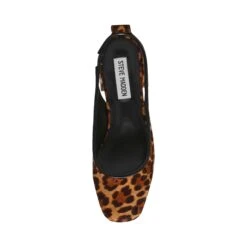 Steve Madden Smitten Lp Sandal Leopard 11 Steve Madden Smitten Lp Sandal Leopard -Steve Madden Shop SM11003685 03001 969 03