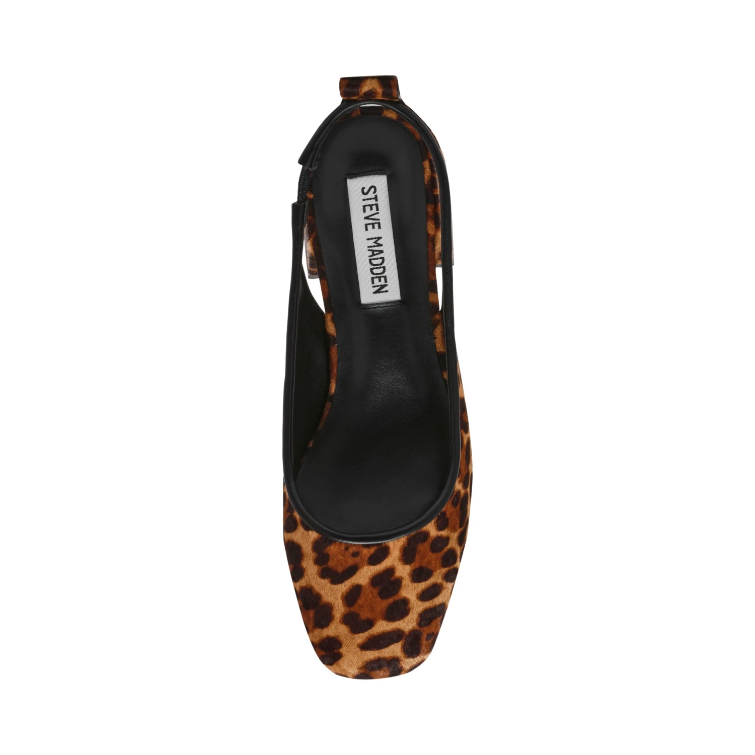 Steve Madden Smitten Lp Sandal Leopard 7 Steve Madden Smitten Lp Sandal Leopard - Image 5