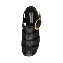 Steve Madden Interstellar Sandal Blk Action Leather -Steve Madden Shop SM11003819 03001 05O 03