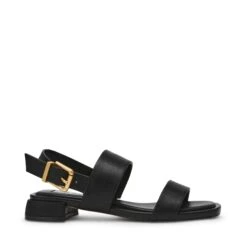 Steve Madden Venturas Sandal Black Leather