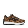 Steve Madden Capitale L Sneaker Leopard -Steve Madden Shop SM11003915 04001 969 01