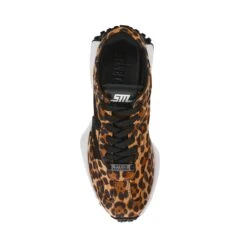 Steve Madden Capitale L Sneaker Leopard -Steve Madden Shop SM11003915 04001 969 03