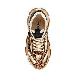 Steve Madden Possession L E Trainer Leopard Multi -Steve Madden Shop SM19000123 03007 702 06