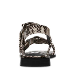 Steve Madden Saria E Sandal Lt Beige Snake -Steve Madden Shop SM19000132 02002 27J 05