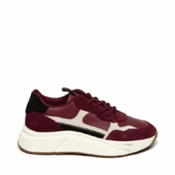 Steve Madden Starlyn Sneaker Burgundy