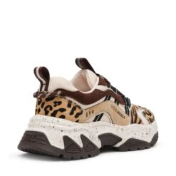 Steve Madden Animates Le Trainer Brn Leopard 12 Steve Madden Animates Le Trainer Brn Leopard -Steve Madden Shop STEVEMADDEN SHOES ANIMATES L BROWNLEOPARD ALT1