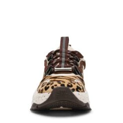 Steve Madden Animates Le Trainer Brn Leopard 10 Steve Madden Animates Le Trainer Brn Leopard -Steve Madden Shop STEVEMADDEN SHOES ANIMATES L BROWNLEOPARD FRONT