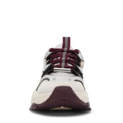 Steve Madden Animates E Trainer Wine Gry 10 Steve Madden Animates E Trainer Wine Gry -Steve Madden Shop STEVEMADDEN SHOES ANIMATES WINEGREY FRONT