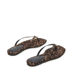 Steve Madden Maliyah Sandal Leopard -Steve Madden Shop STEVEMADDEN SHOES MALIYAH LEOPARD 03