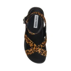 Steve Madden Mybestie L Sandal Leopard -Steve Madden Shop STEVEMADDEN SHOES MYBESTIE LEOPARD 05